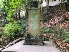 -溪口-滕头旅游景区