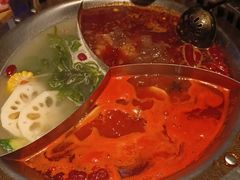 -辣伍鲜毛肚老火锅(元一店)