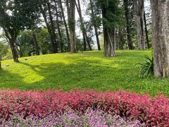-四海公园(南山区)