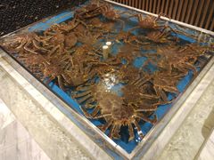 水产区-蟹将军·松叶蟹和牛日料放题自助(K11店)