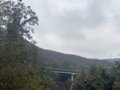 -西双版纳原始森林公园