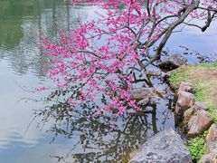 -杭州植物园