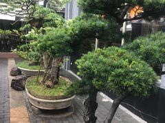 -老外街