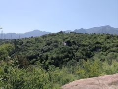 -白水寺森林公园
