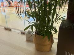 -LANN I 蘭·泰式古法按摩(高岛屋百货店)