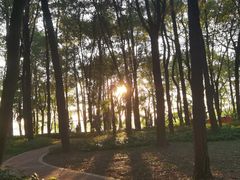 -东湖落雁景区