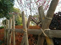 android_upload_pic-圩墩遗址公园