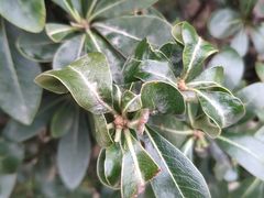 -苏州河梦清园环保主题公园