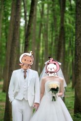 点击看大图 -桔子摄影