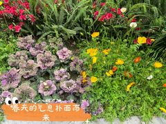 -成都市第二人民医院(庆云院区)