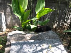 -李大钊烈士陵园