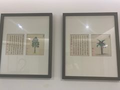 -明经堂中医馆(丽都店)