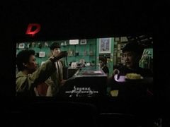 -枫花园汽车电影院(朝阳公园店)