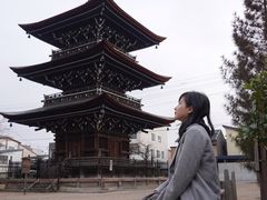 -医王山·飞騨国分寺