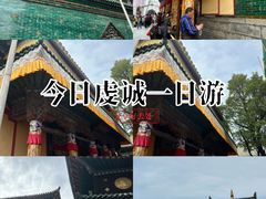 -塔尔寺-菩提树