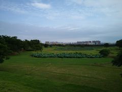 -盘龙城国家考古遗址公园