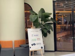 -YESIDO BLACK椰岛造型