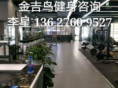 -金吉鸟健身游泳