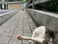 -广州市白云山风景名胜区