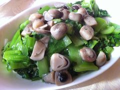 草菇盖菜-马凯餐厅(长椿街店)