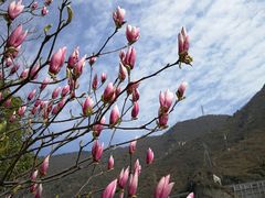 -汉中石门栈道景区