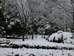 -新虹桥中心花园