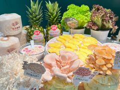 -烹然四季椰子鸡火锅(姚家园万象汇店)