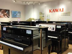 -柏斯音乐艺术中心·钢琴·吉他(世纪金源店)