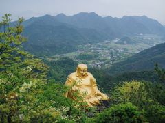 -正佳雨林生态植物园