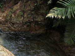 -广州市白云山风景名胜区