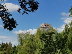 -新虹桥中心花园