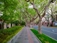 -罗奇堡家具(淮海西路店)