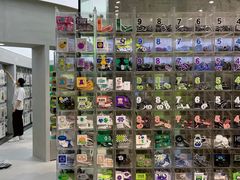 -HOWOW·D2Y(柏威年店)