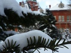 -北海道厅旧本厅舍(旧本庁舎)