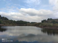-中国红海
