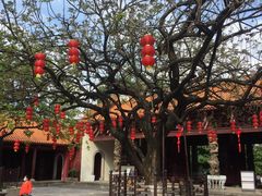 -三水森林公园