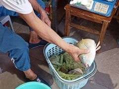 -三亚火车头万人海鲜广场