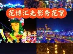 -花博汇(知音花月夜)