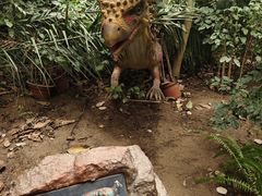 -呀路古热带植物园