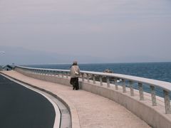 -杨梅坑