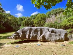 -上海吴淞炮台湾国家湿地公园