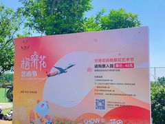 -空港花田景区