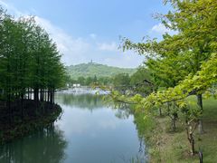 -苏州上方山国家森林公园