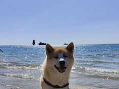 -碣石国家级海洋公园