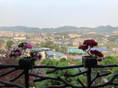 -枇杷园食为鲜火锅(南山店)