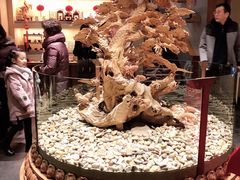 -禅一·静观堂(长寿路店)