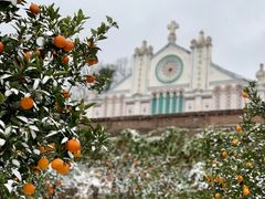 -舒家湾天主教堂