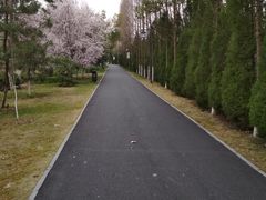 -合肥三国新城遗址公园