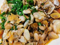 海瓜子-启东海鲜人家(古美路店)
