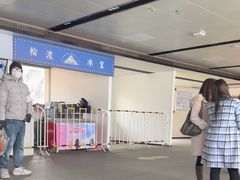 -武汉关码头(轮渡站)